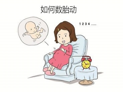 胎兒好不好，胎動(dòng)全知道，數(shù)胎動(dòng)的重要性